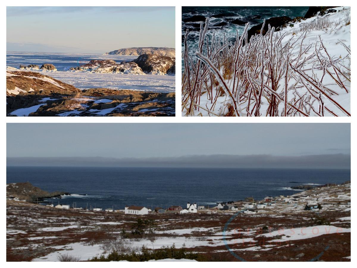 Grates Cove Studios: B&B In Historic Grates Cove Exterior foto