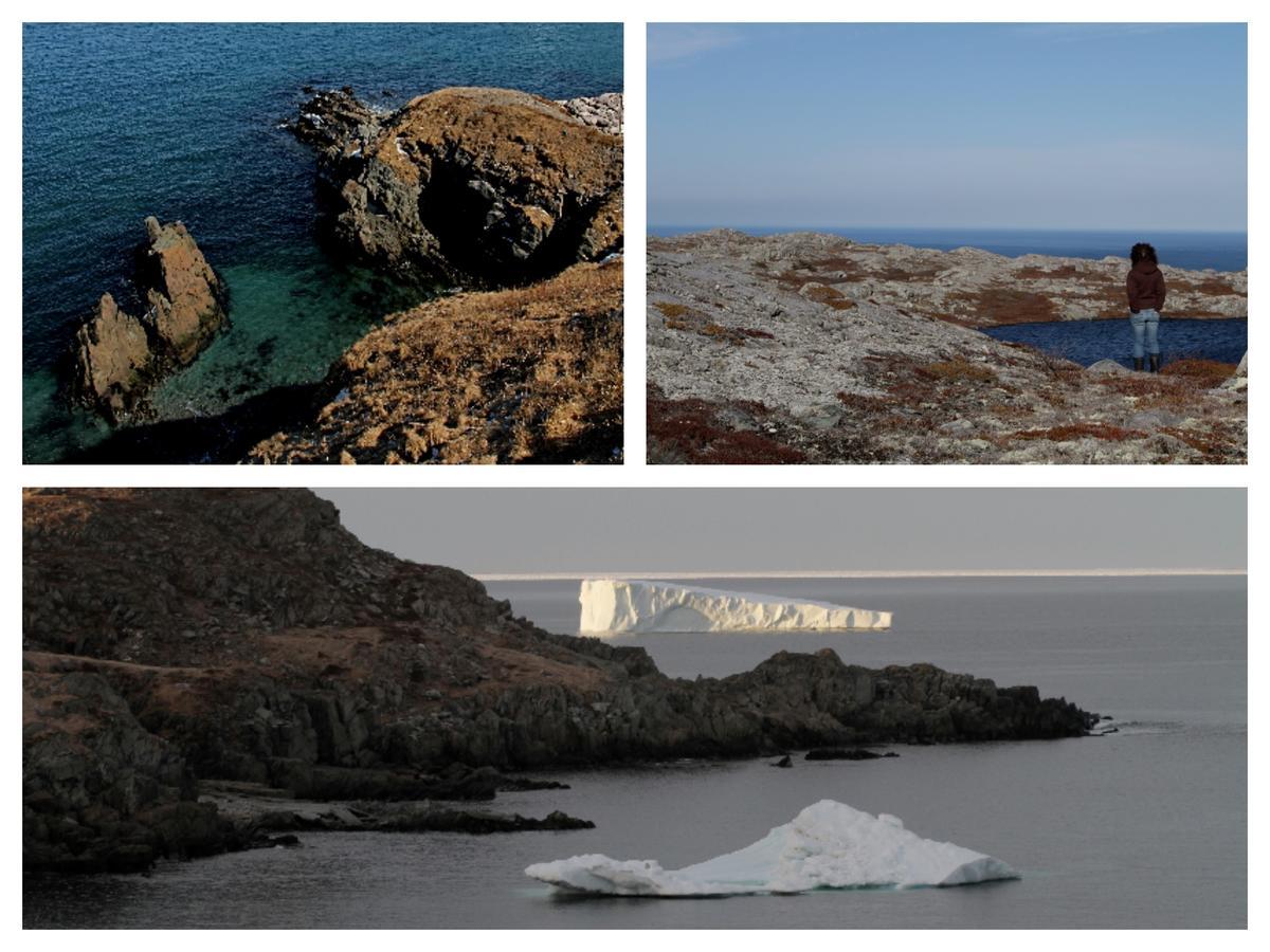 Grates Cove Studios: B&B In Historic Grates Cove Exterior foto
