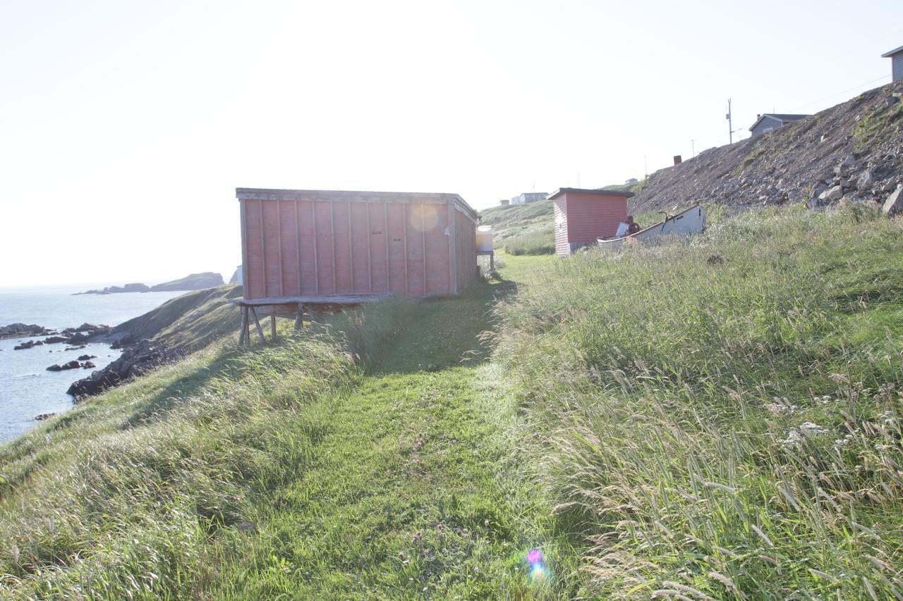 Grates Cove Studios: B&B In Historic Grates Cove Exterior foto