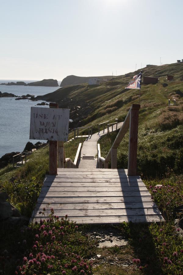 Grates Cove Studios: B&B In Historic Grates Cove Exterior foto